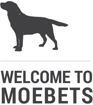 Welcome to MOEBETS